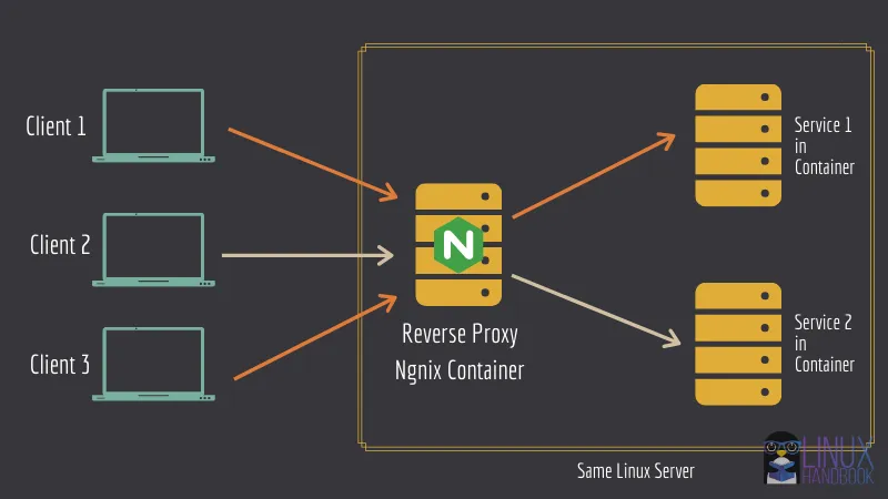 Setting Up Reverse Proxy Using NGINX Proxy Manager